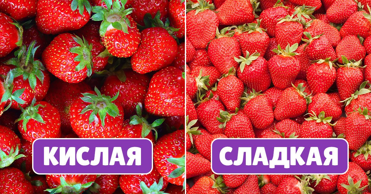 Как выбрать клубнику, чтобы была сладкой и без химикатов